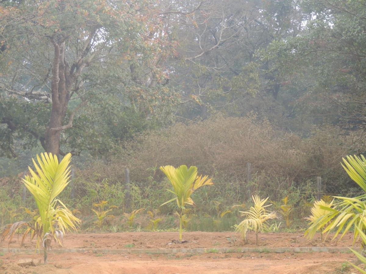 Dandeli Aura Apartment Bagian luar foto